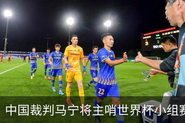 中国裁判马宁将主哨世界杯小组赛第二轮比赛